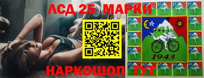 гашик Будённовск