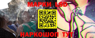 гашик Будённовск