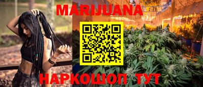 гашик Будённовск