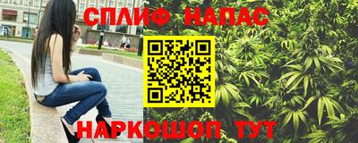 гашик Будённовск