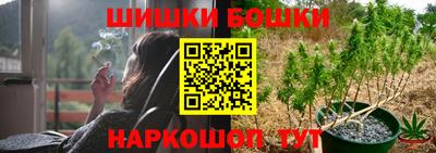 гашик Будённовск