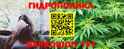 гашик Будённовск