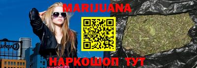 гашик Будённовск