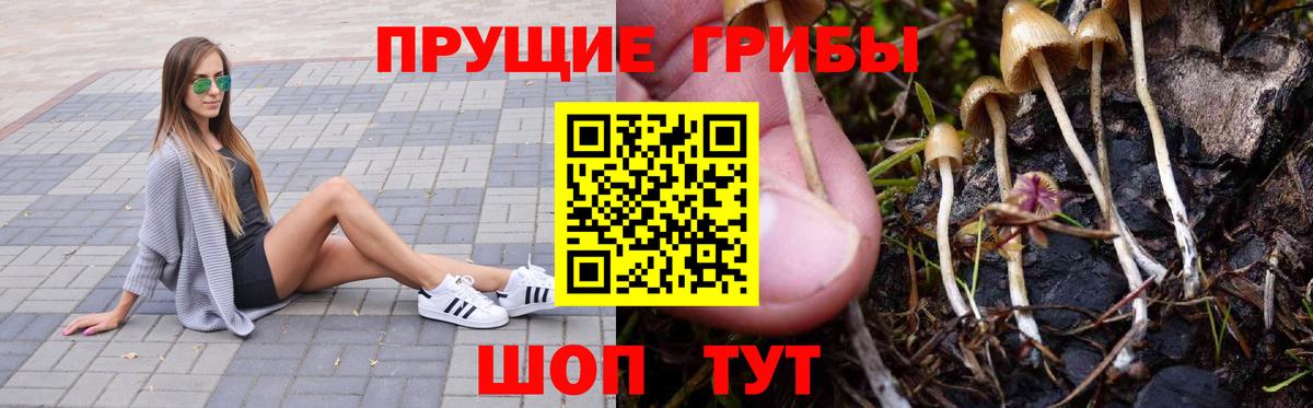 Галлюциногенные грибы мицелий Назарово